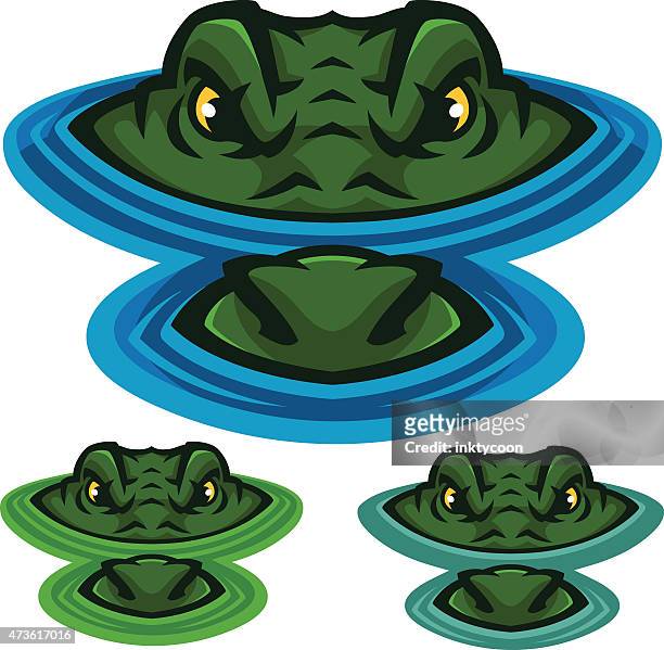 ilustraciones, imágenes clip art, dibujos animados e iconos de stock de pantano de cocodrilo - alligator