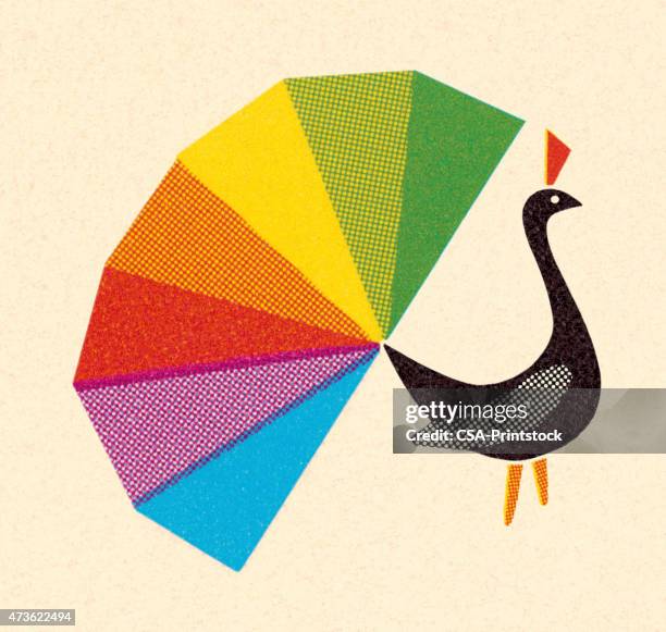 peacock with rainbow tail feathers - peacock tail stock illustrations