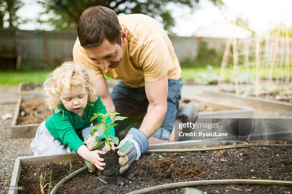 Father and Daughter Planting Garden