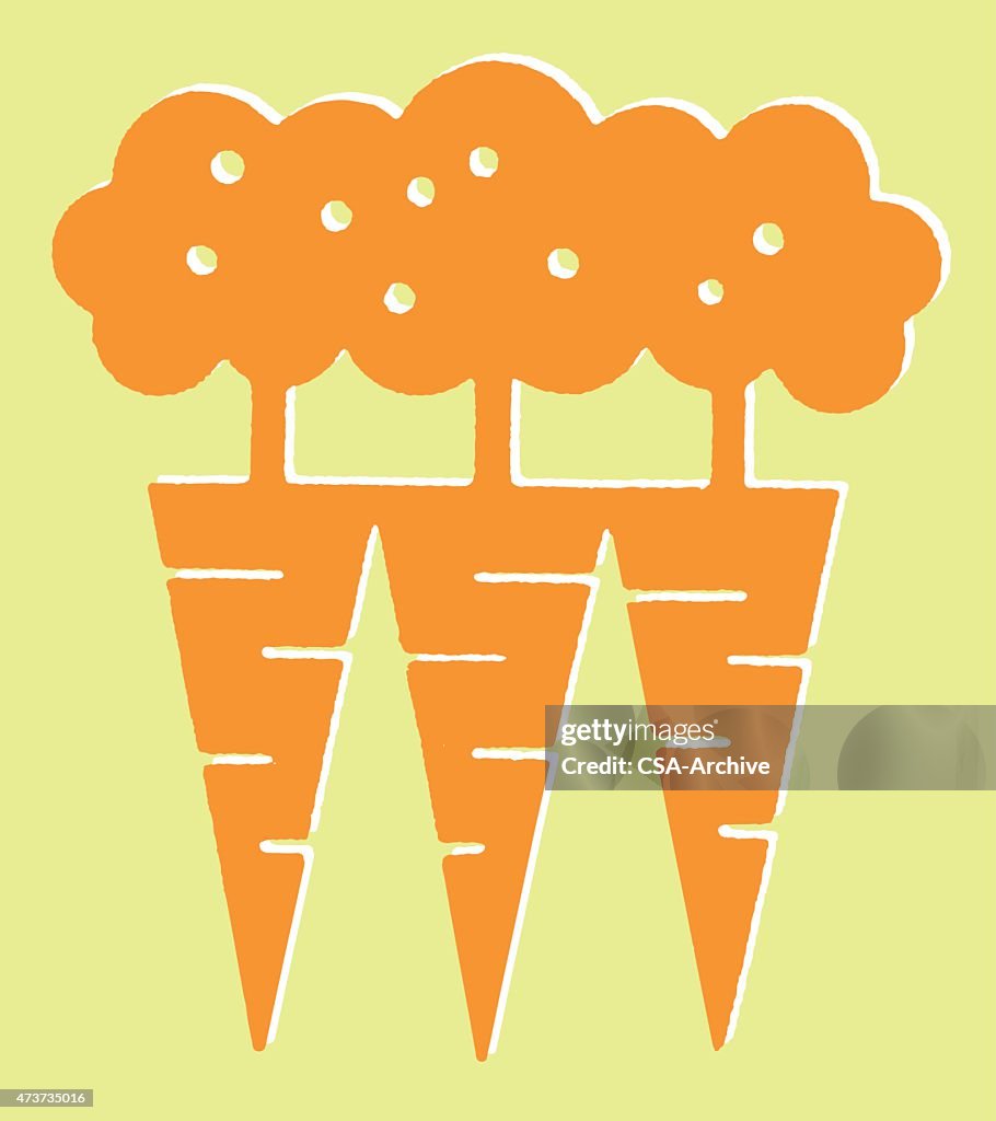 Carrots