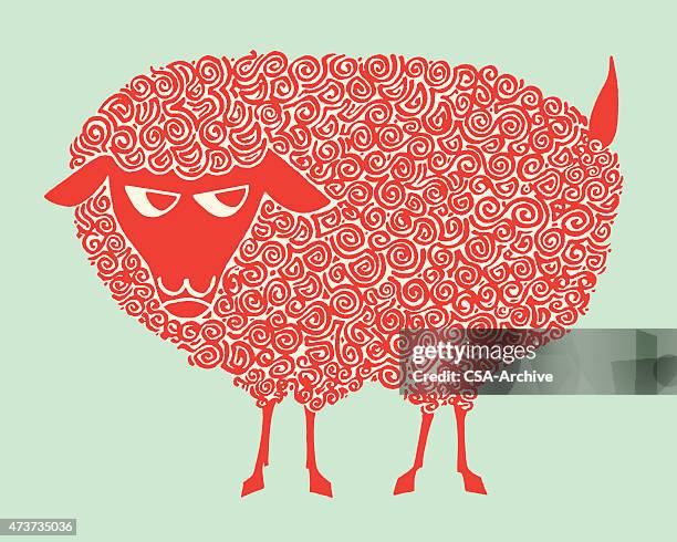 sheep - sheep stock illustrations