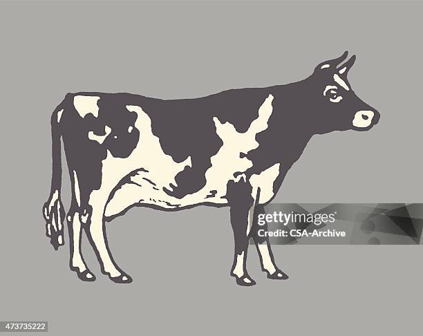 cow - cattle stock-grafiken, -clipart, -cartoons und -symbole