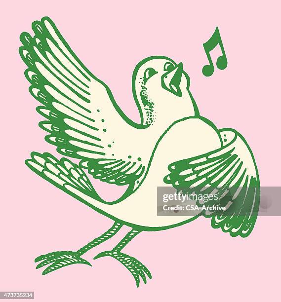 bird singing - birdsong stock illustrations