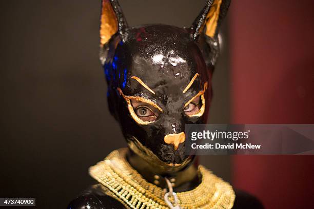 Submissive woman is dressed as an Egyptian cat at a dungeon party during the domination convention, DomCon LA, in the early morning hours on May 17,...