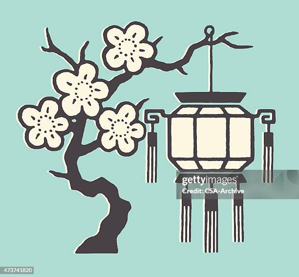 stockillustraties, clipart, cartoons en iconen met cherry tree and lantern - kersenboom