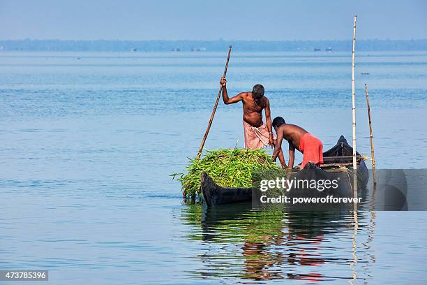 man transporting his crop by kettuvallam on vembanad lake, india - kumarakom stockfoto's en -beelden