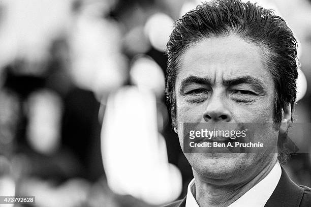 Benicio del Toro attends the "Carol" Premiere during the 68th annual Cannes Film Festival on May 17, 2015 in Cannes, France.