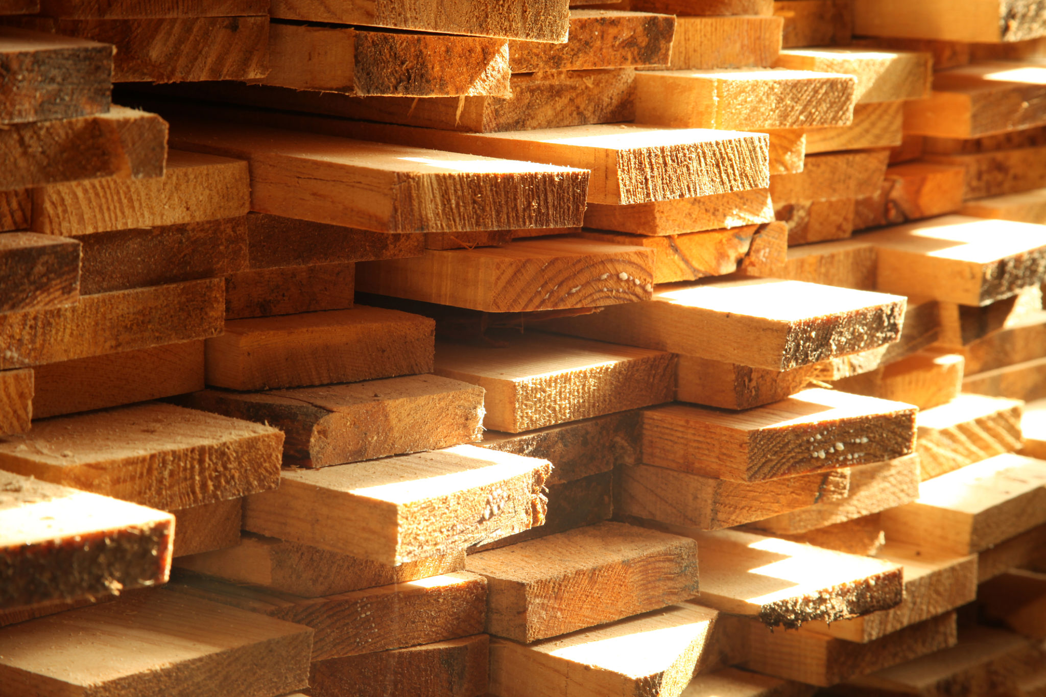 hardwood planks