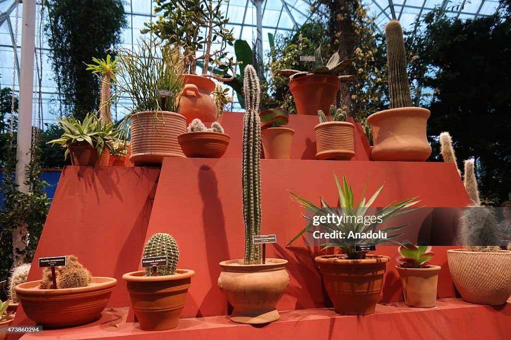 Frida Kahlo: Art Garden Life - 2015 New York exhibition