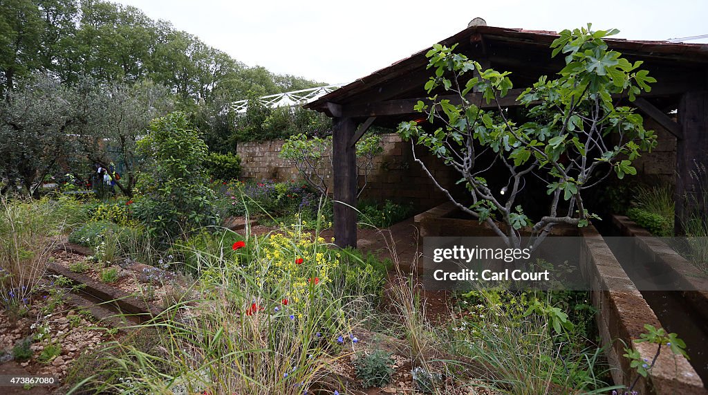 Preview Day At The 2015 Chelsea Flower Show