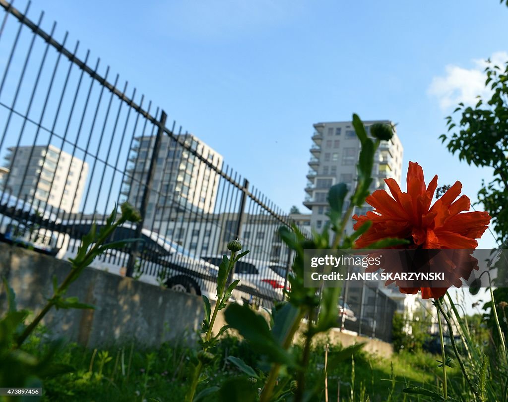 POLAND-LIFESTYLE-ENVIRONMENT-GARDENS