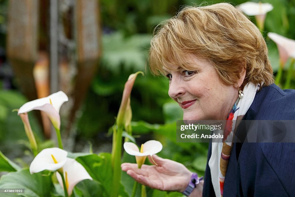 Chelsea Flower Show 2015