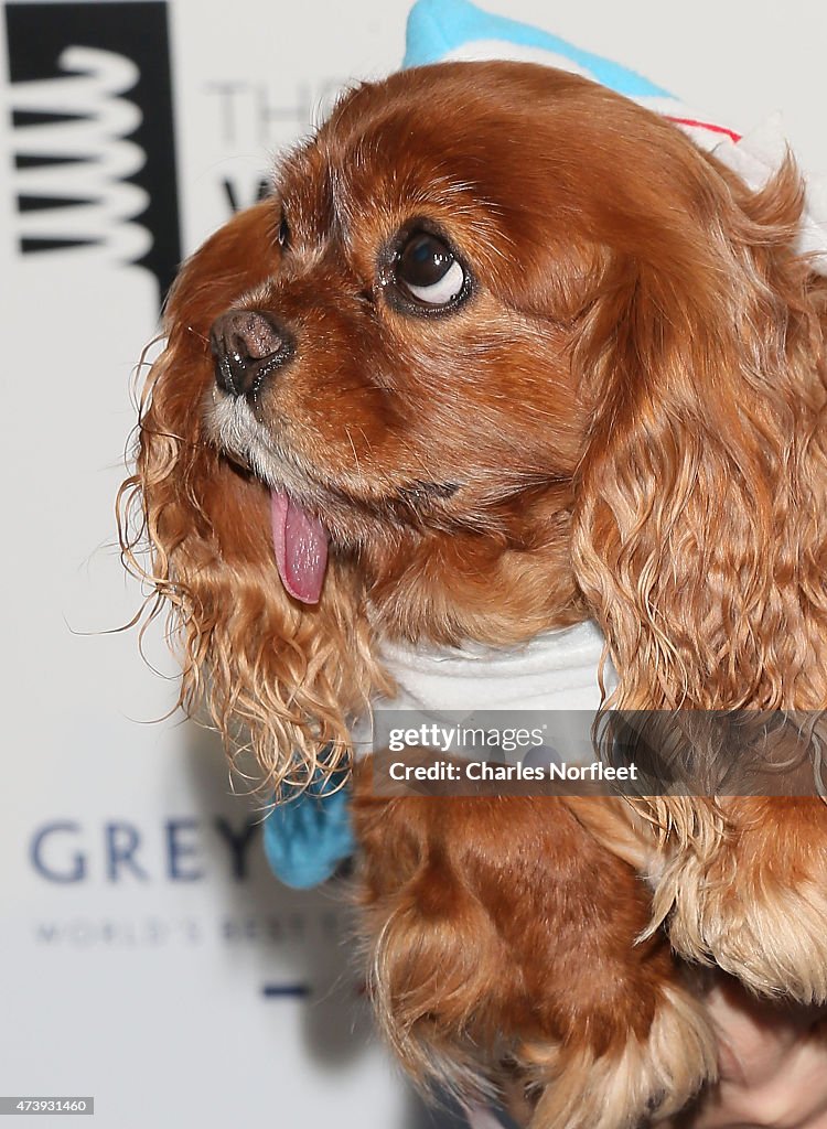 19th Annual Webby Awards