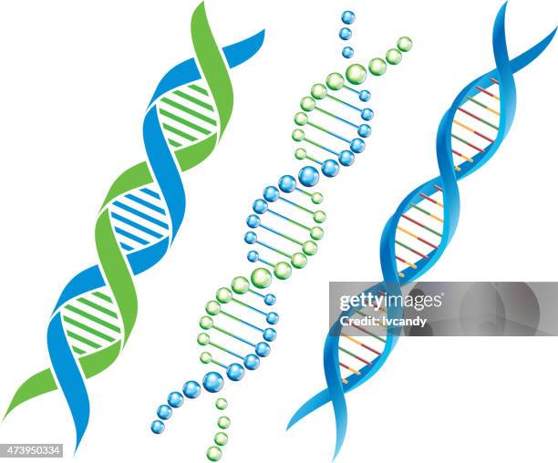 dna-symbol - chromosome stock-grafiken, -clipart, -cartoons und -symbole