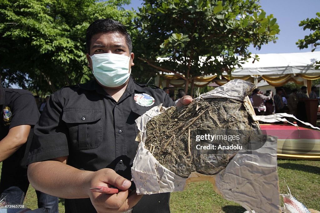 Indonesian police burn 11.6 tons of marijuana in Aceh