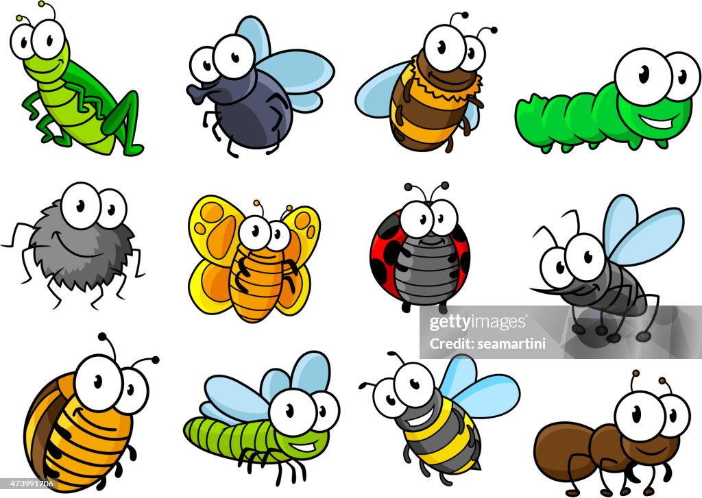 Colorful Set Of Cartoon Insects Characters High-Res Vector Graphic ...