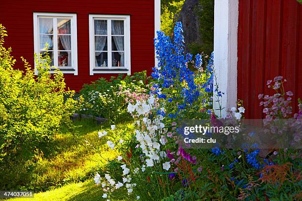 holiday homes and flowers - höga kusten bildbanksfoton och bilder