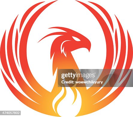 Phoenix design Phoenix design