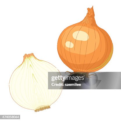 3 552点の玉ねぎイラスト素材 Getty Images 3 552点の玉ねぎイラスト素材 Getty Images