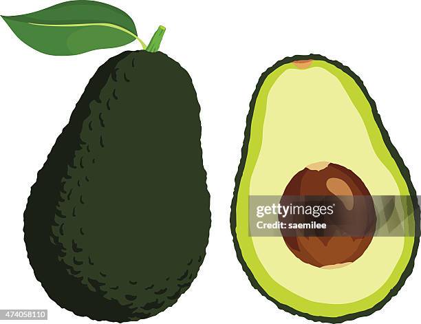 avocado - avocado stock-grafiken, -clipart, -cartoons und -symbole