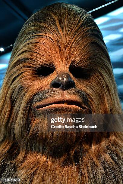 The costume worn by Peter Mayhew as Chewbacca the Wookie is seen during the 'Star Wars Identities' Exhibtion Press Preview & VIP Opening at Odysseum...