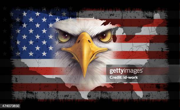 stockillustraties, clipart, cartoons en iconen met usa flag with bald eagle - bald eagle with american flag