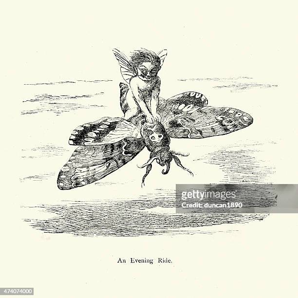 fairy flying on the back of a moth - fairy stock illustrations