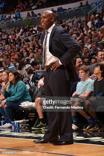 Jacque Vaughn of the Orlando Magic looks on during the game against the New York Knicks on February 21, 2014 at Amway Center in Orlando, Florida....