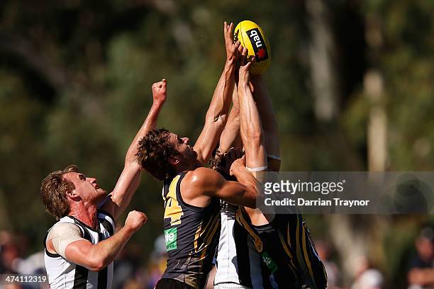 Tyrone Vickery of Richmond marks the ball during the NAB challenge match between the Collingwood Magpies and the Richmond Tigers on February 22, 2014...
