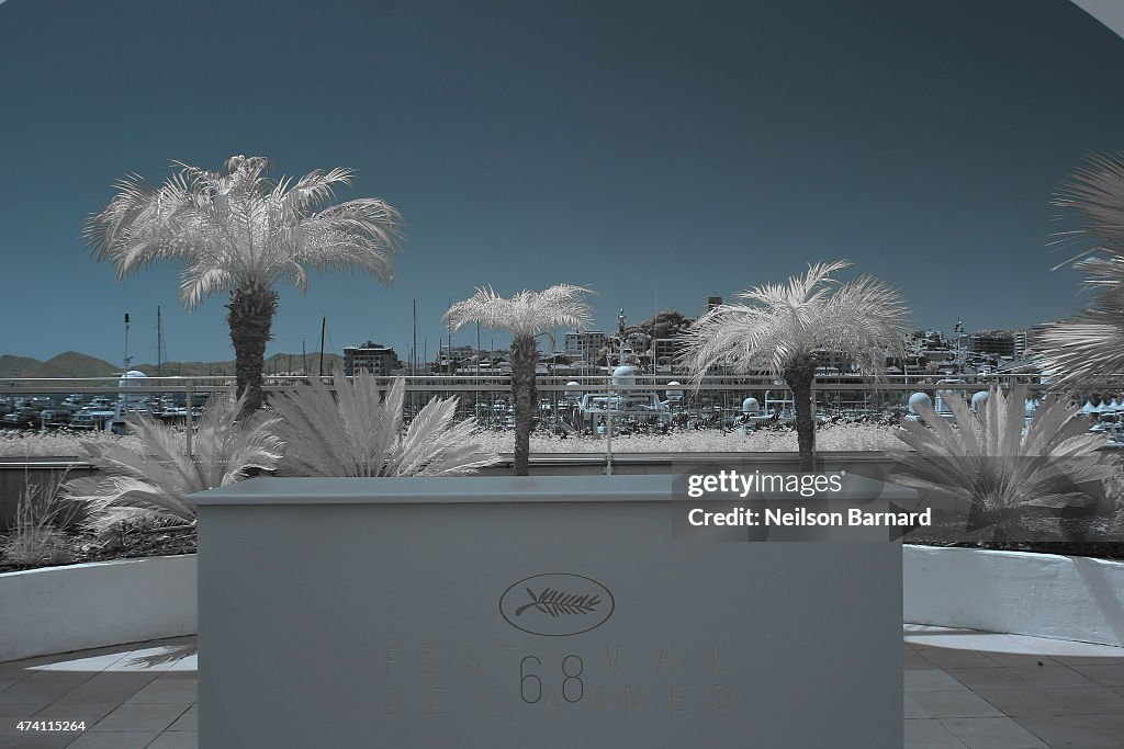 Infrared - The 68th Annual Cannes Film Festival