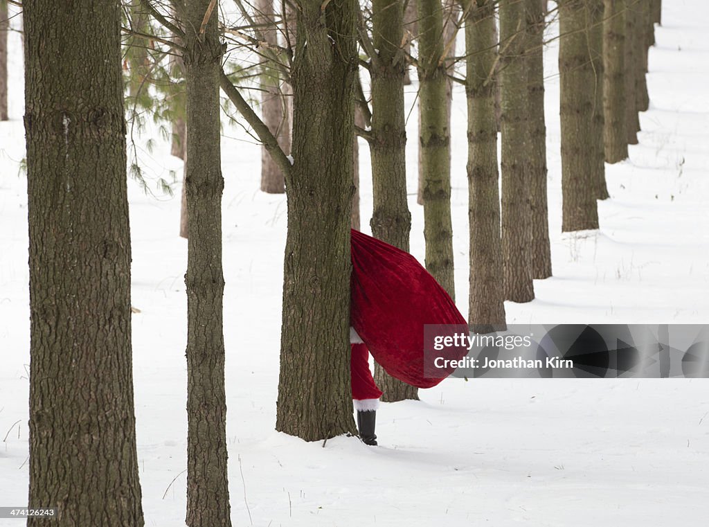Santa in the woods
