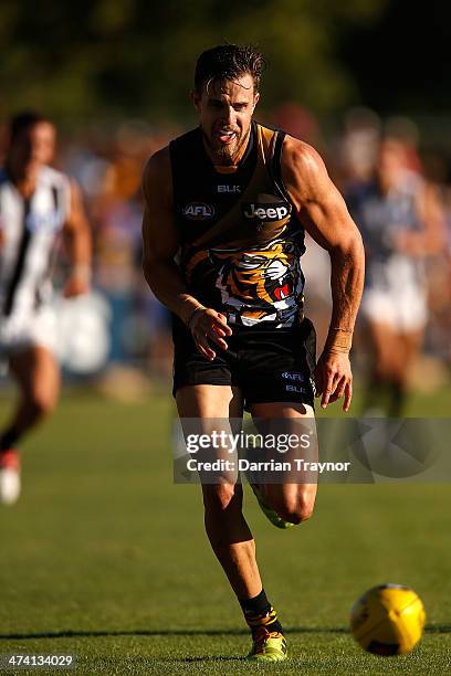 Brett Deledio of Richmond chases the ball during the NAB challenge match between the Collingwood Magpies and the Richmond Tigers on February 22, 2014...