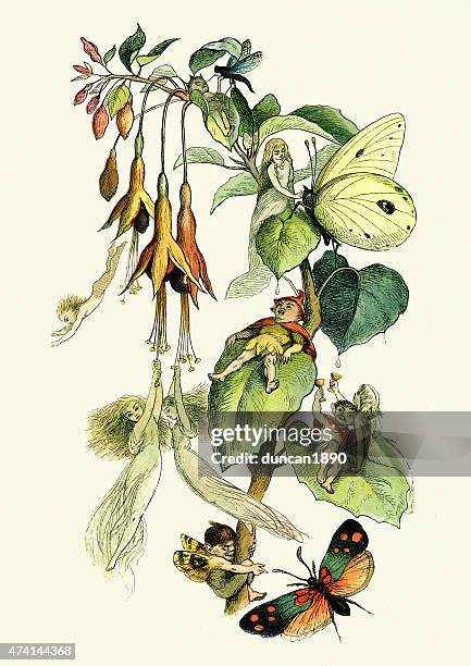 illustrations, cliparts, dessins animés et icônes de fées jouant avec des papillons - fée