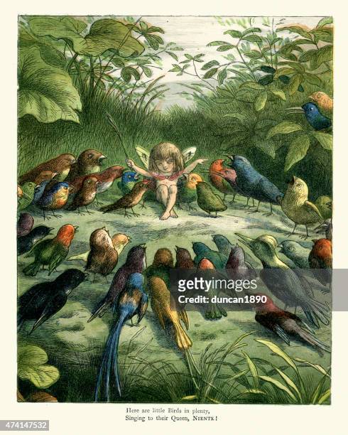 princess nobody and the birds - lithograph stock illustrations