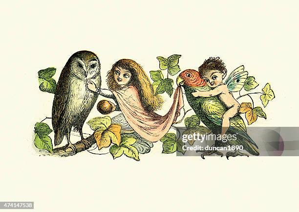 princess nobody and the birds - elf owl stock illustrations