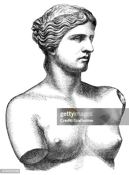 stockillustraties, clipart, cartoons en iconen met bust venus de milo aphrodite illustration - aphrodite