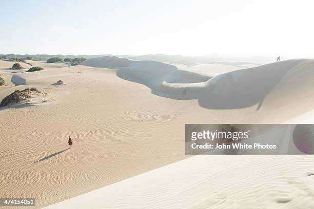 people walking in sand dunes. south australia - port lincoln stock pictures, royalty-free photos & images