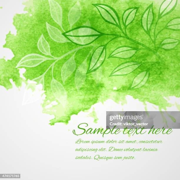 watercolor green leaf design element. vector illustration - botanical background stock illustrations