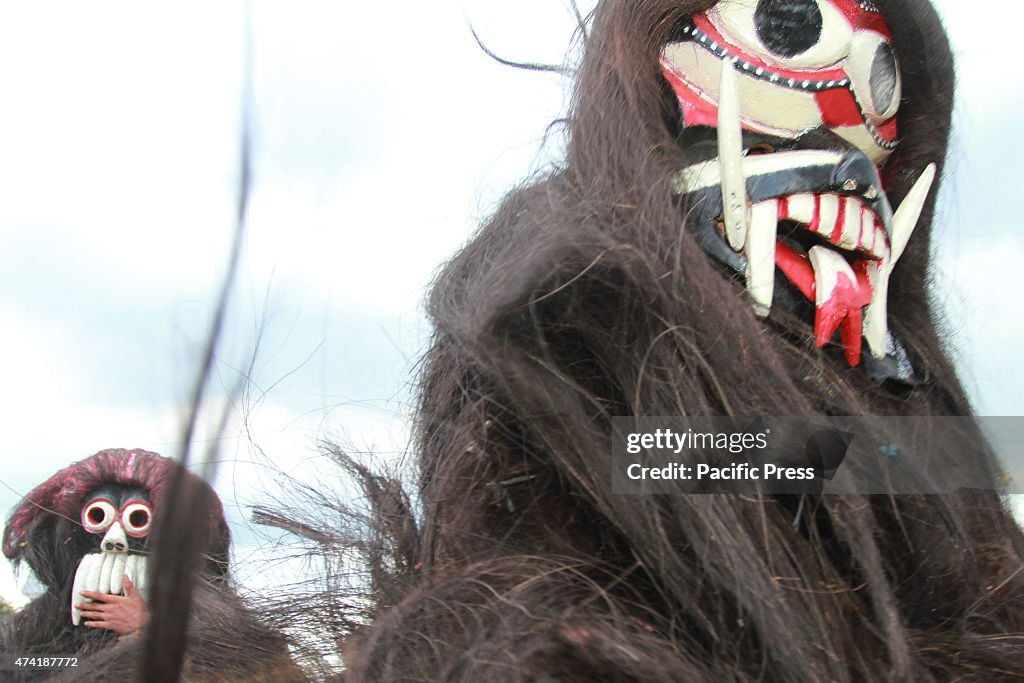 Part of the rituals of the indigenous Dayak, as homage to...