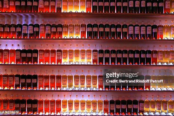 Illustration view during the Martell cocktail at the Martell 300th anniversary event, held at the Palace of Versailles on May 20, 2015 in Versailles,...
