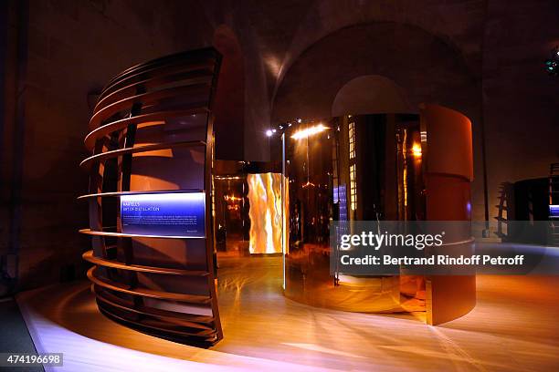 Illustration view during the Martell cocktail at the Martell 300th anniversary event, held at the Palace of Versailles on May 20, 2015 in Versailles,...