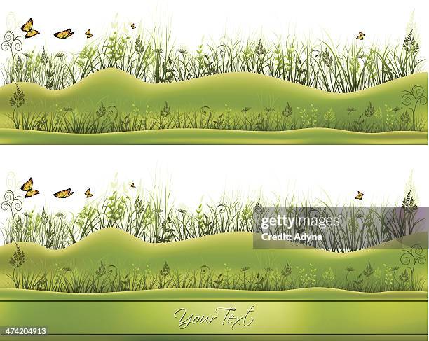 Border Spring Still Spring Border Background Photos and Premium High Res Pictures - Getty ...
