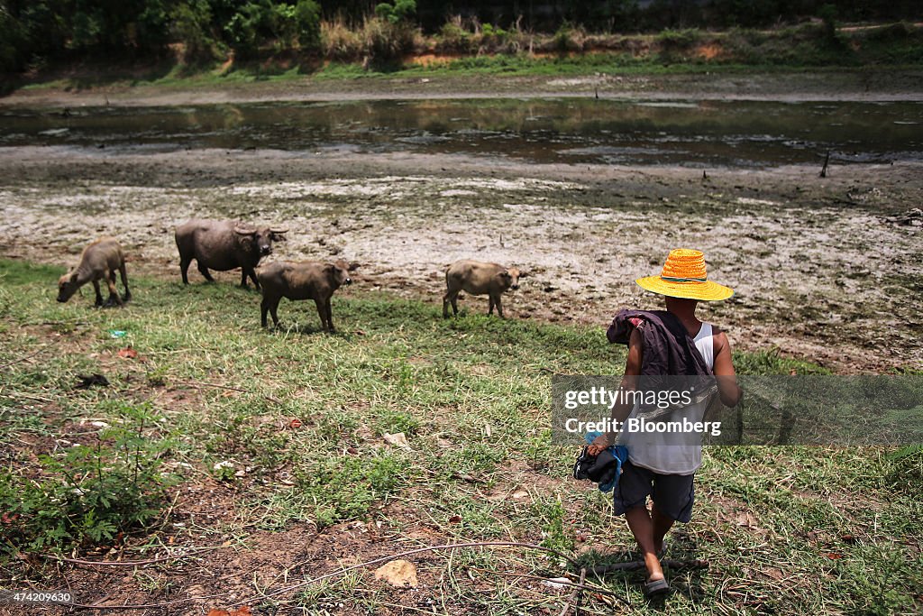 Happiness Eludes Thailand's Divided Regions As Farmers Struggle