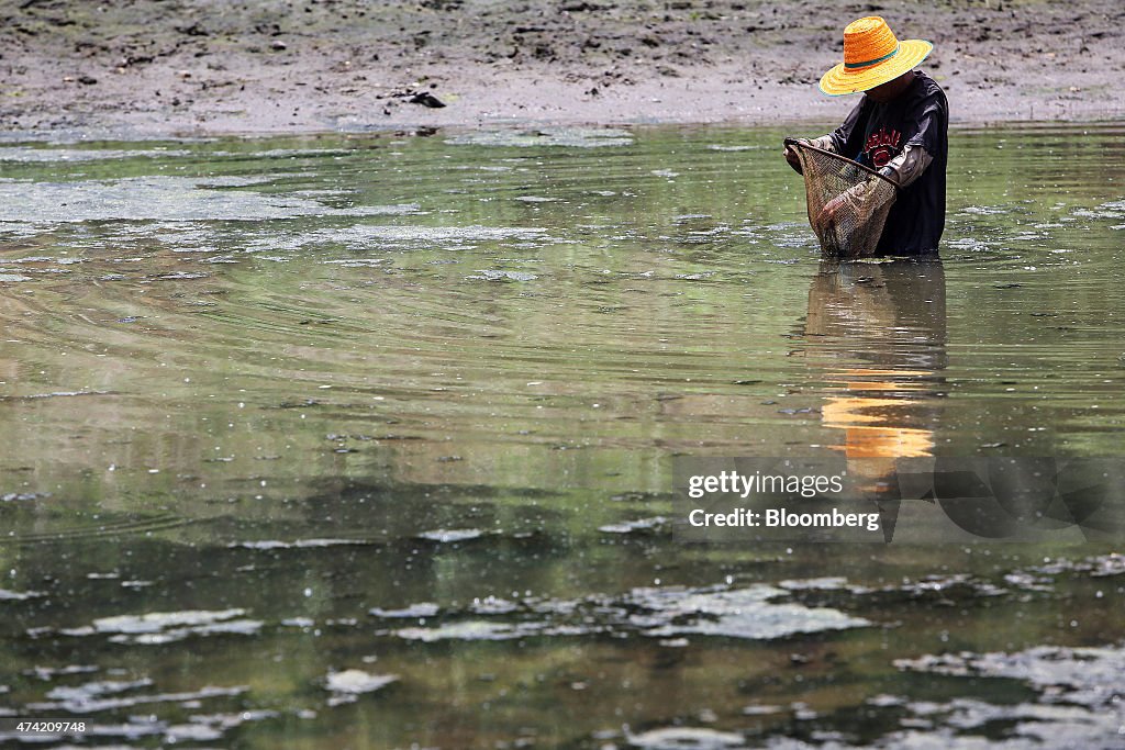 Happiness Eludes Thailand's Divided Regions As Farmers Struggle