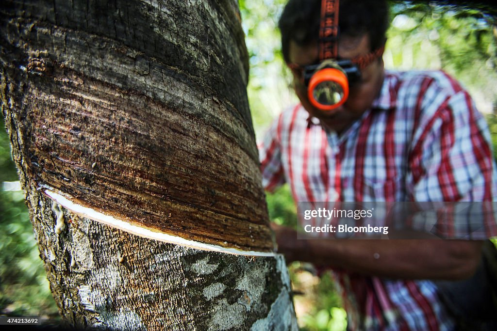 Happiness Eludes Thailand's Divided Regions As Farmers Struggle