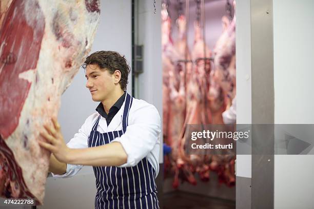 young butcher in  meat processing plant - cold storage room stock pictures, royalty-free photos & images