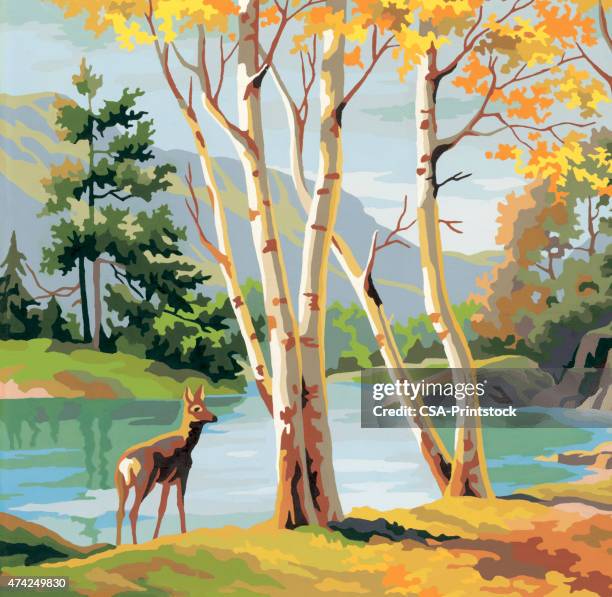 deer by lake - deer creek stock illustrations