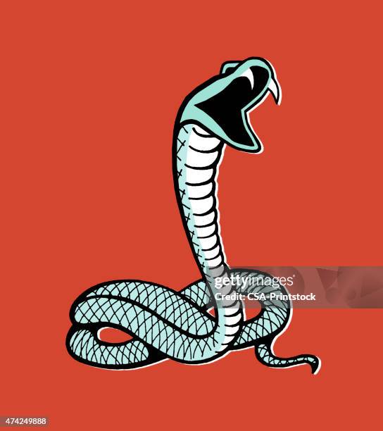 ilustrações de stock, clip art, desenhos animados e ícones de cobra - rattlesnake