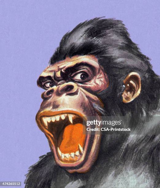 roaring gorilla - angry gorilla stock illustrations