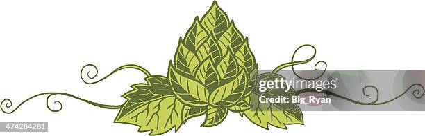 394点のホップイラスト素材 Getty Images 394点のホップイラスト素材 Getty Images